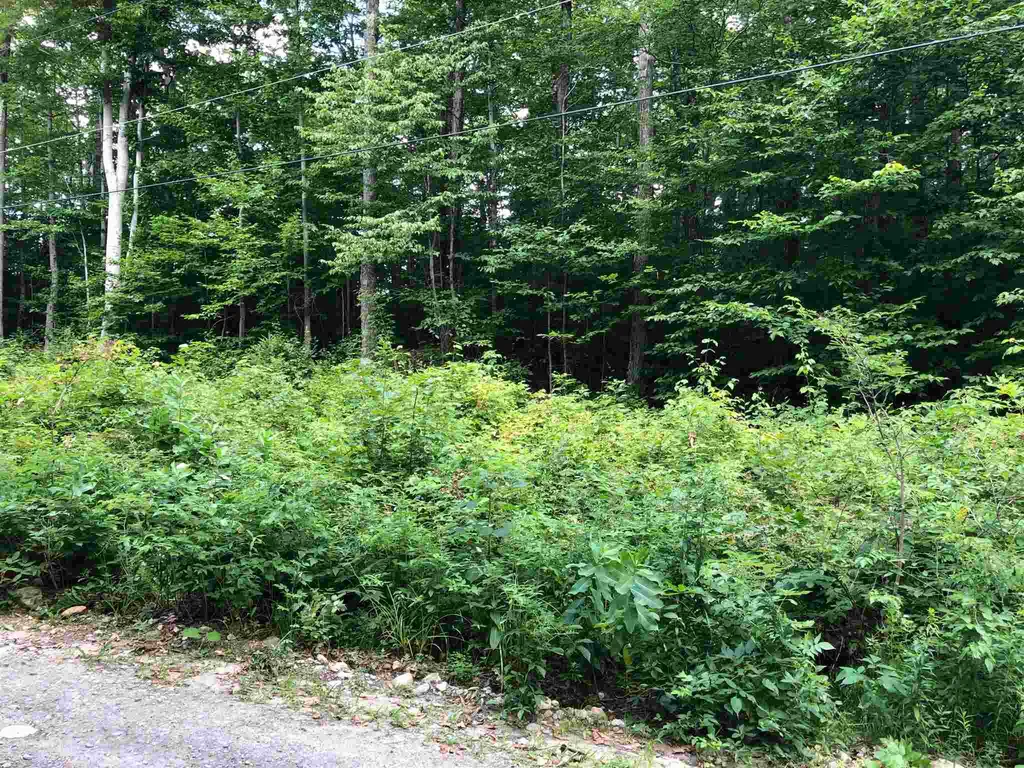 36 Tom's Cabin Road Dover VT 05356