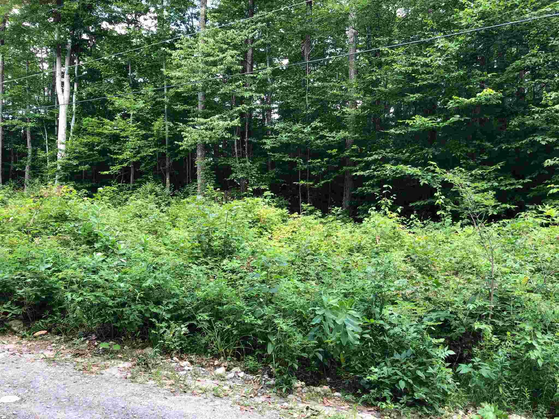 36 Tom's Cabin Road Dover VT 05356