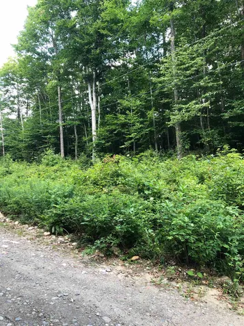 36 Tom's Cabin Road Dover VT 05356