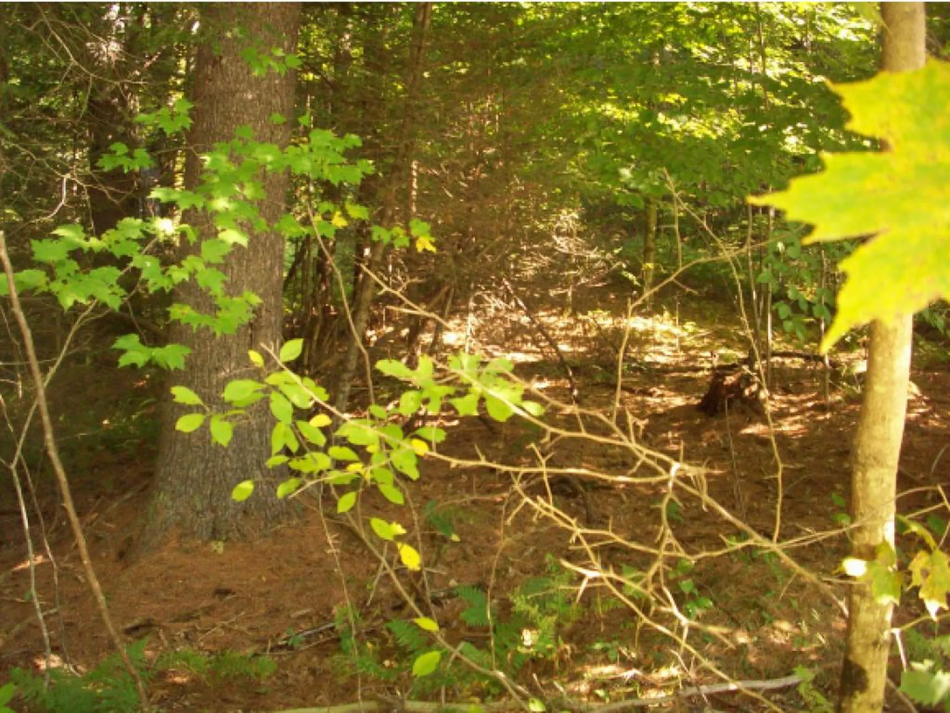 Lot Westview Drive Haverhill NH 03765