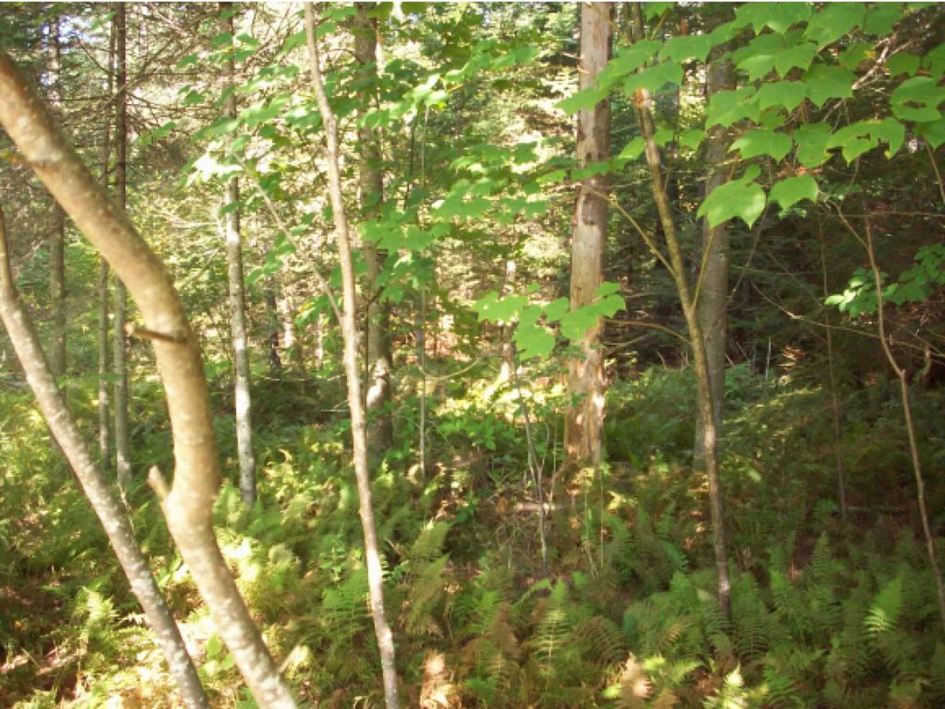 Lot Westview Drive Haverhill NH 03765