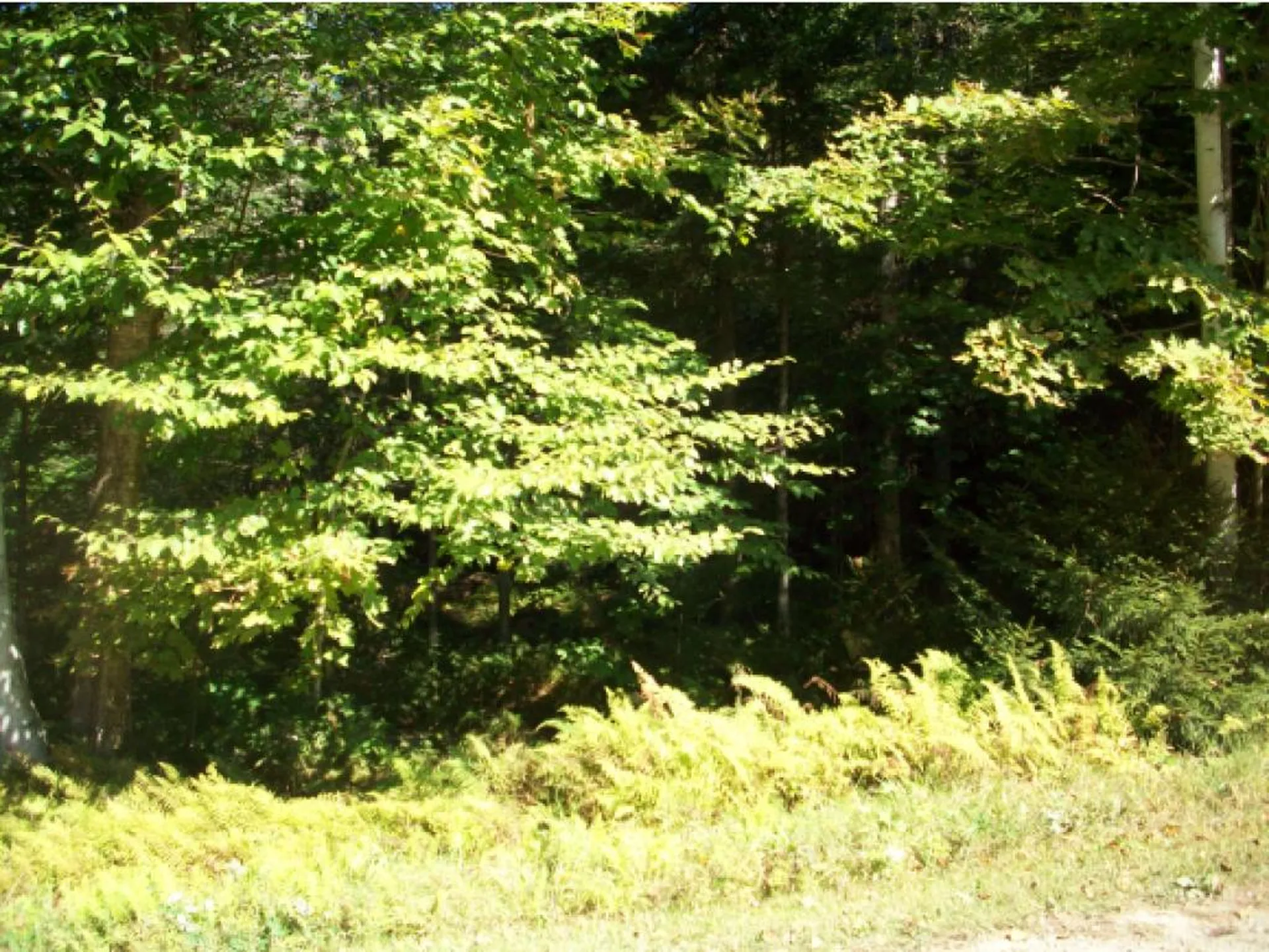 Lot Westview Drive Haverhill NH 03765