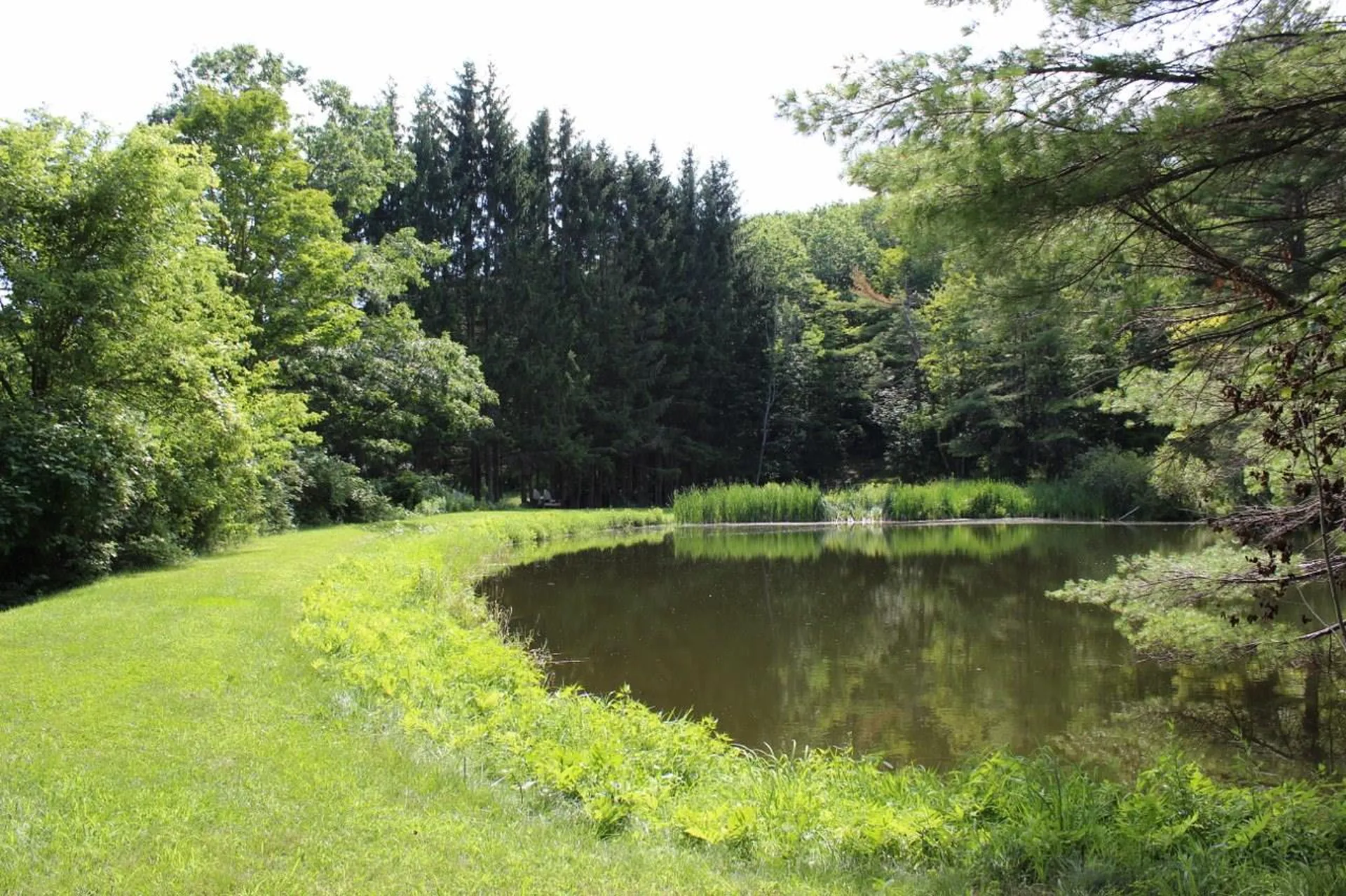 297 Eureka Road Springfield VT 05156