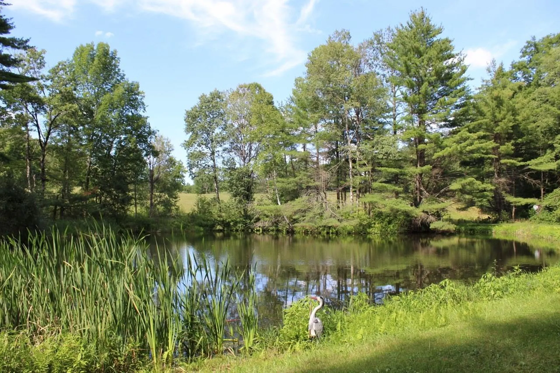 297 Eureka Road Springfield VT 05156