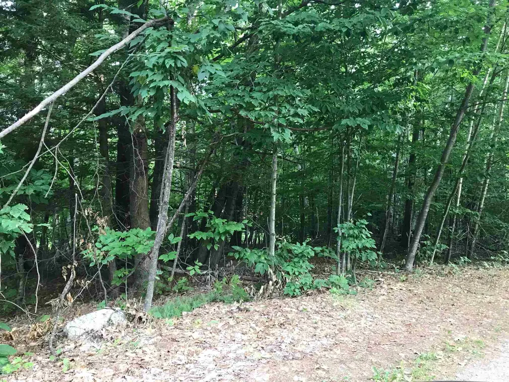 72 Bunnell Drive Strafford NH 03884