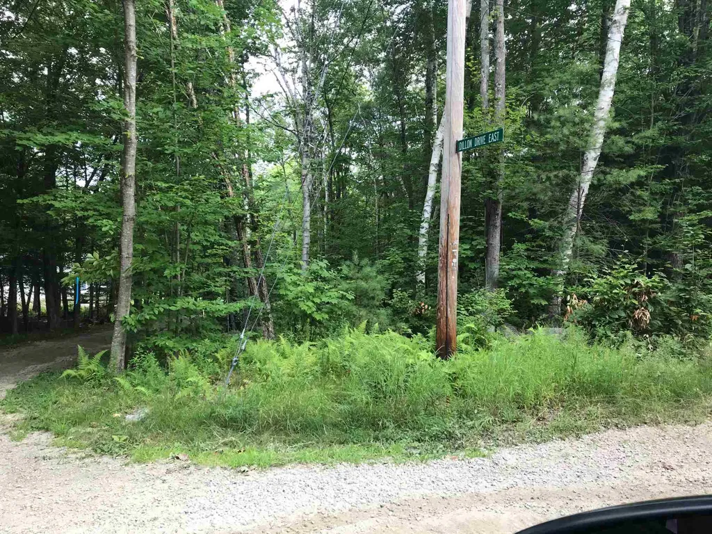 72 Bunnell Drive Strafford NH 03884