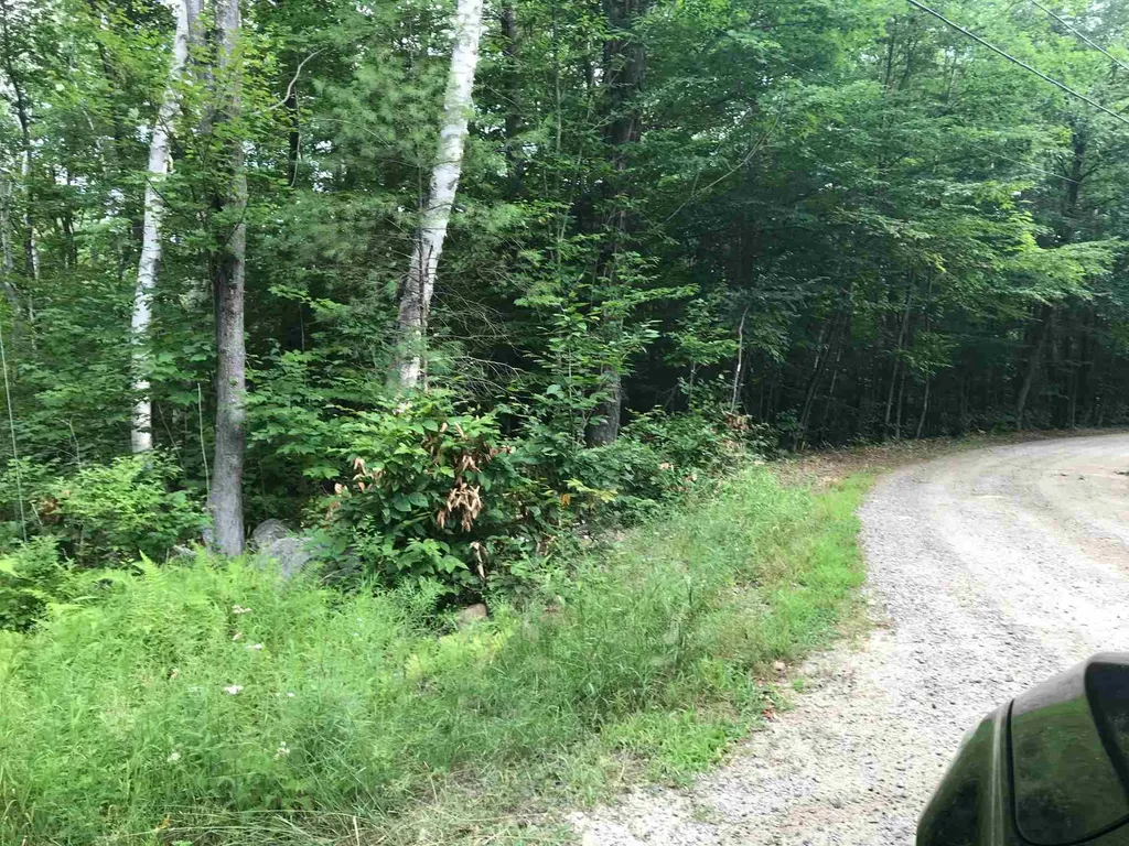 72 Bunnell Drive Strafford NH 03884