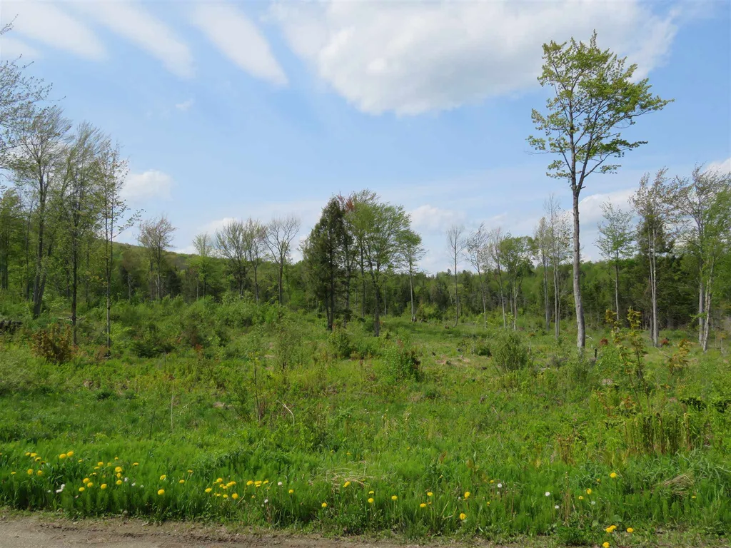 0 Off From Poutre Road Irasburg, VT Real Estate MLS 4822854