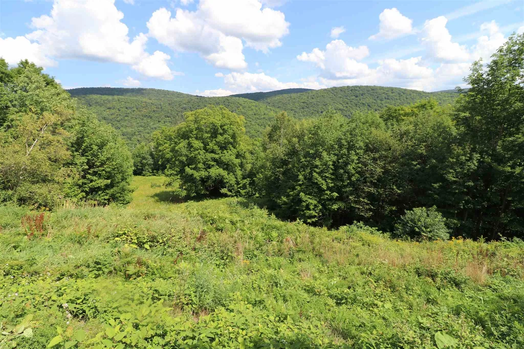 839 Thurston Hill Road Roxbury VT 05669