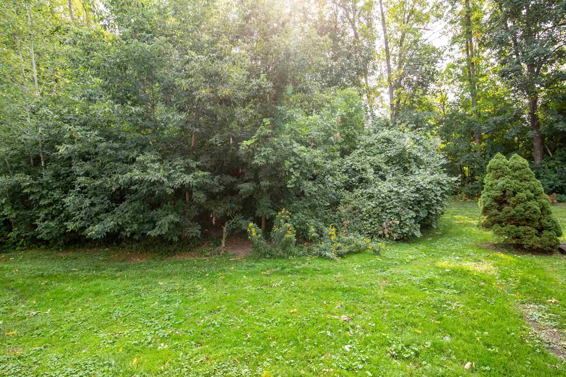 122 Locust Hill Road Shelburne VT 05482