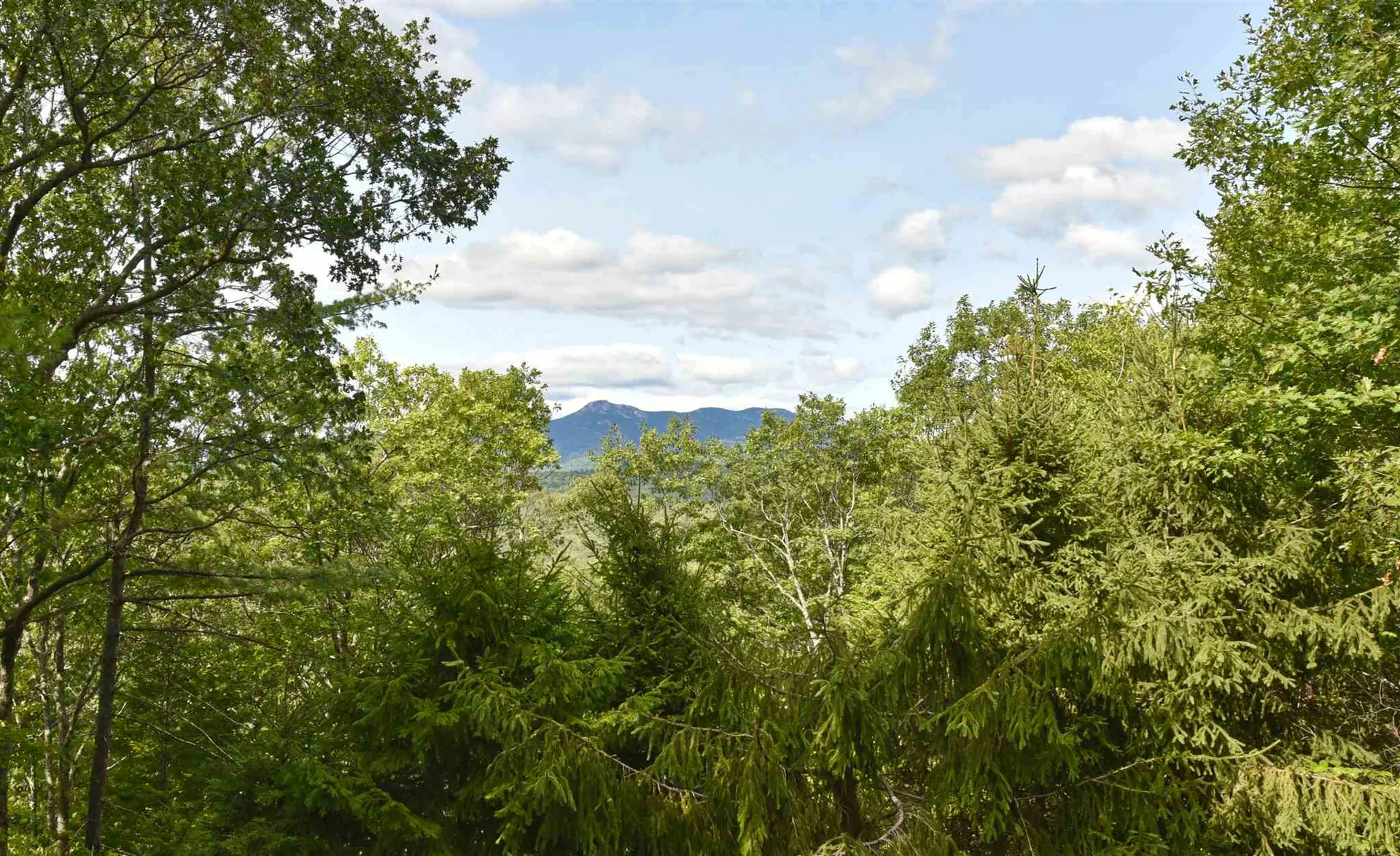 34 Oak Ridge Road Madison NH 03849