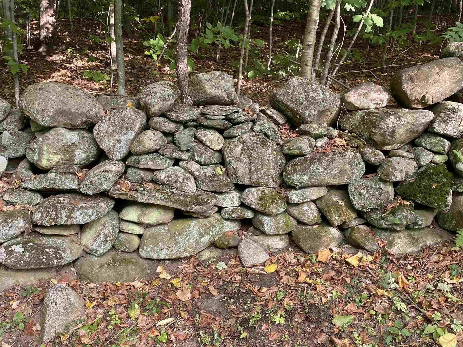 322 Hill Road Brookline VT 05345