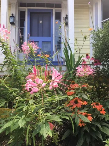 80 Chapin Street Brattleboro VT 05301