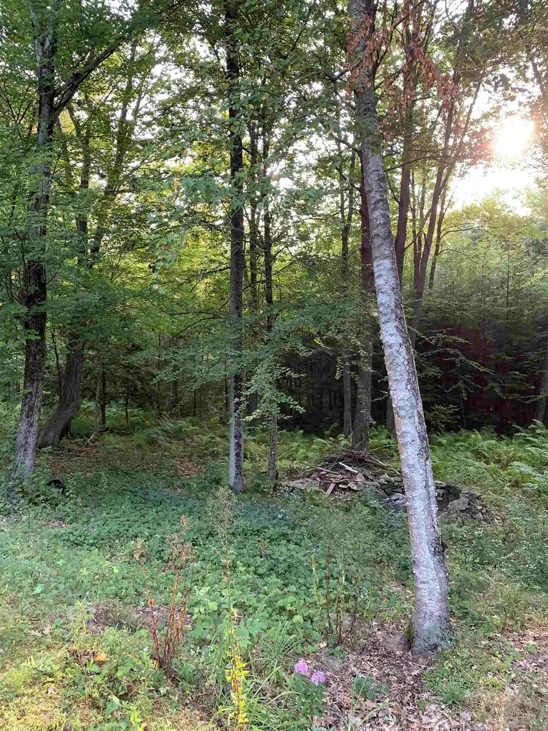 91 Pittsfield Road Loudon NH 03307