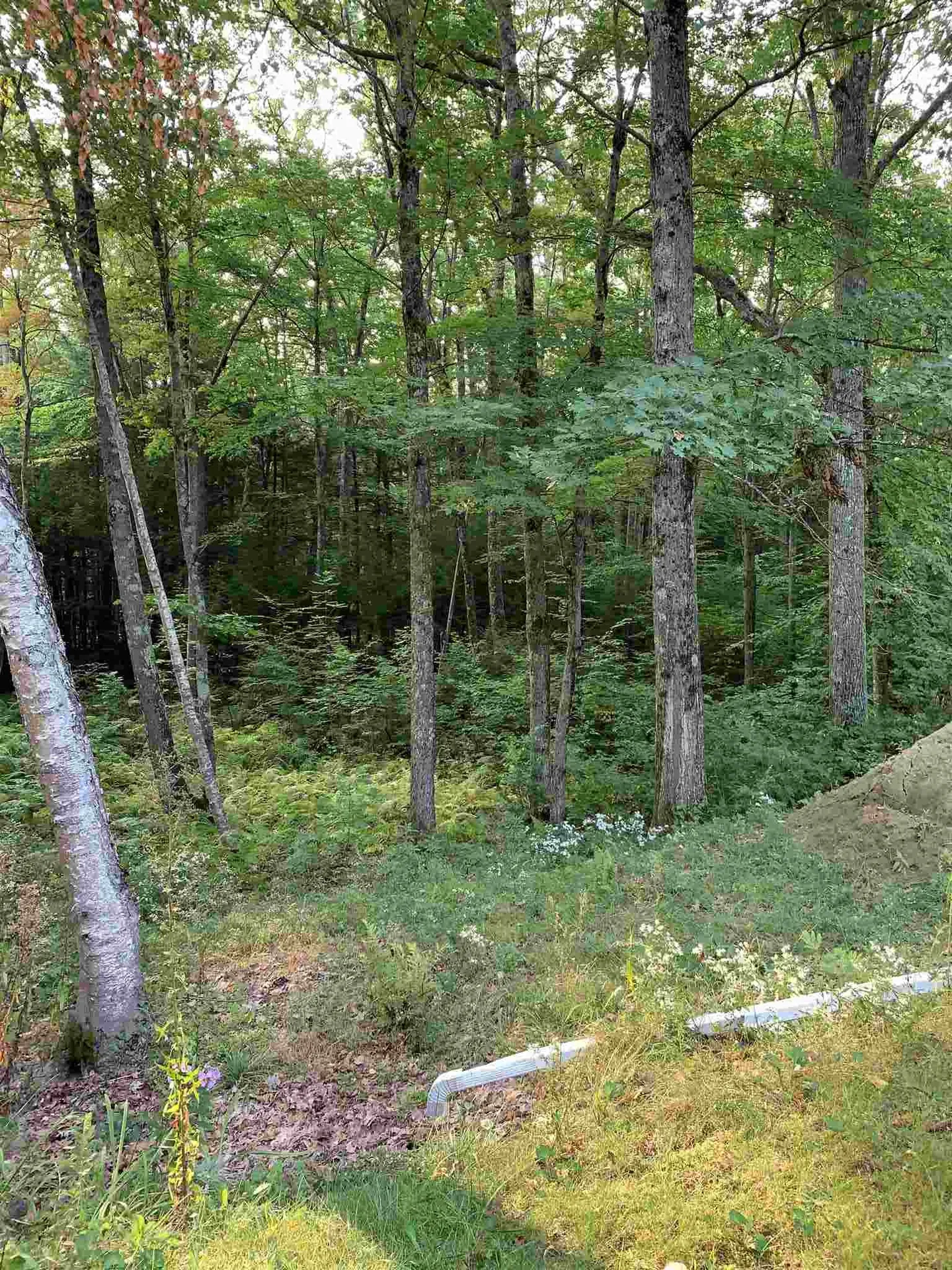 91 Pittsfield Road Loudon NH 03307