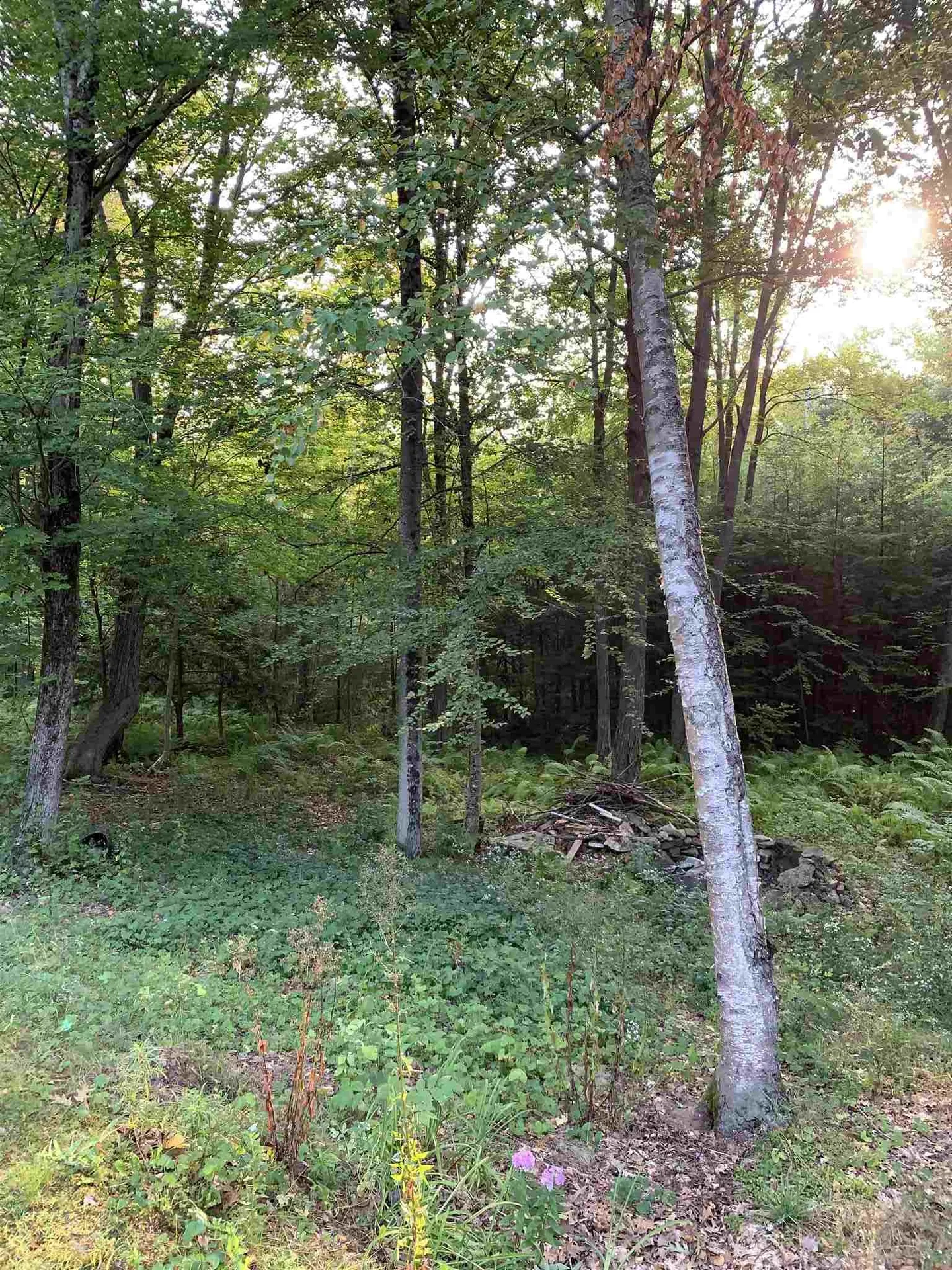 91 Pittsfield Road Loudon NH 03307