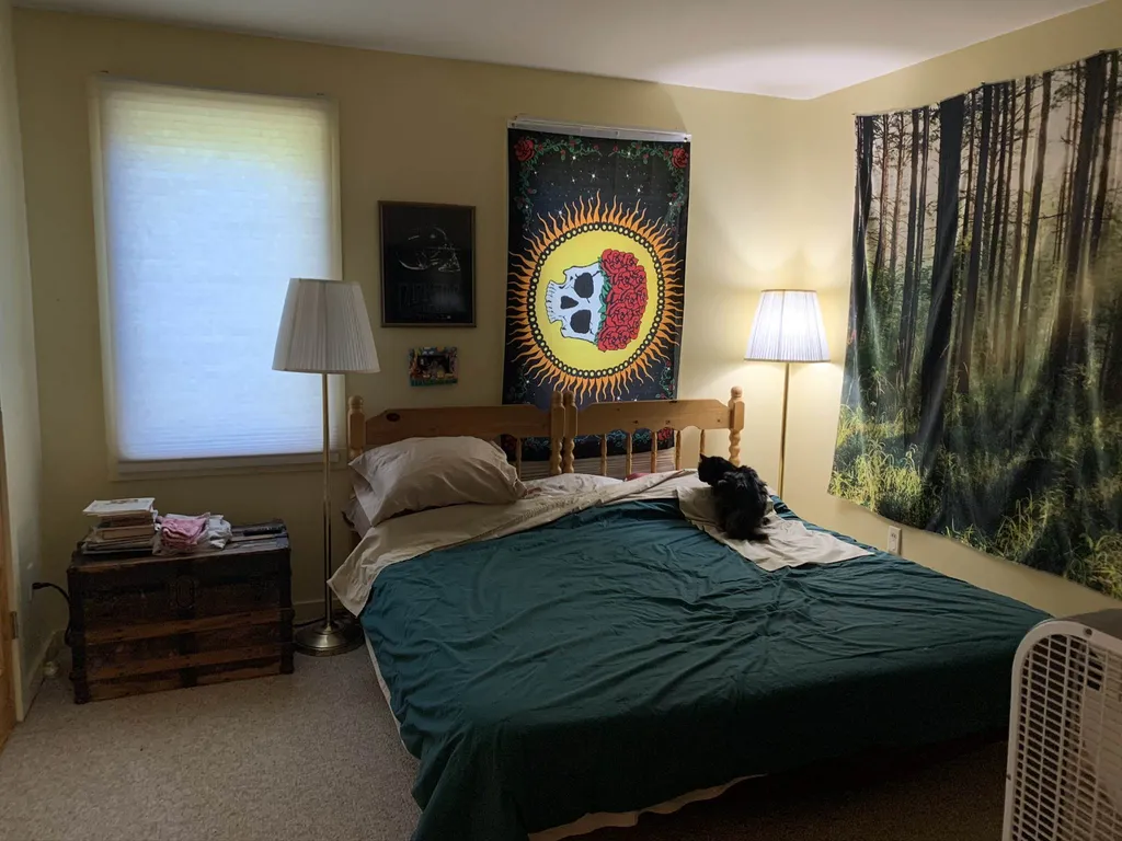 160 North Meadow Drive Bristol VT 05443