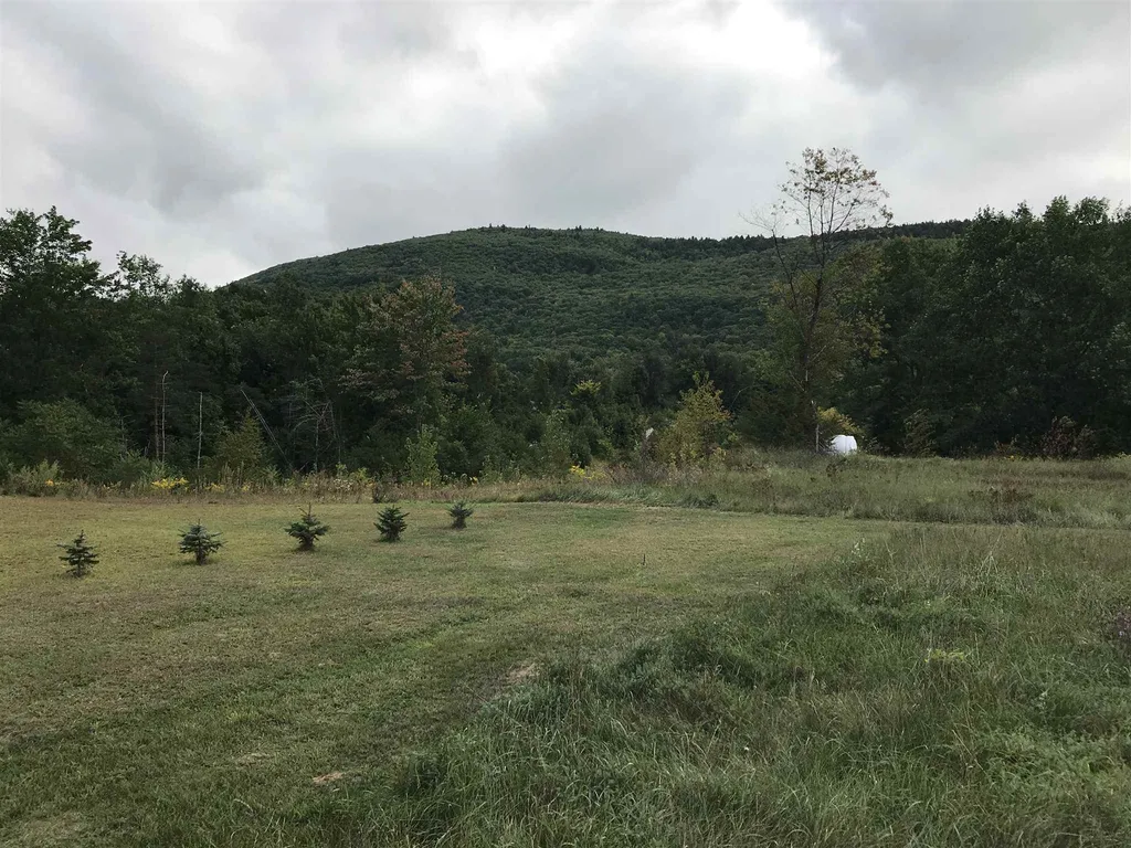 160 North Meadow Drive Bristol VT 05443