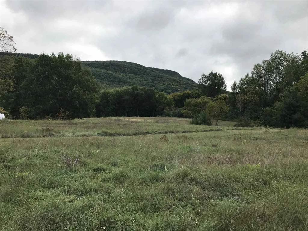 160 North Meadow Drive Bristol VT 05443