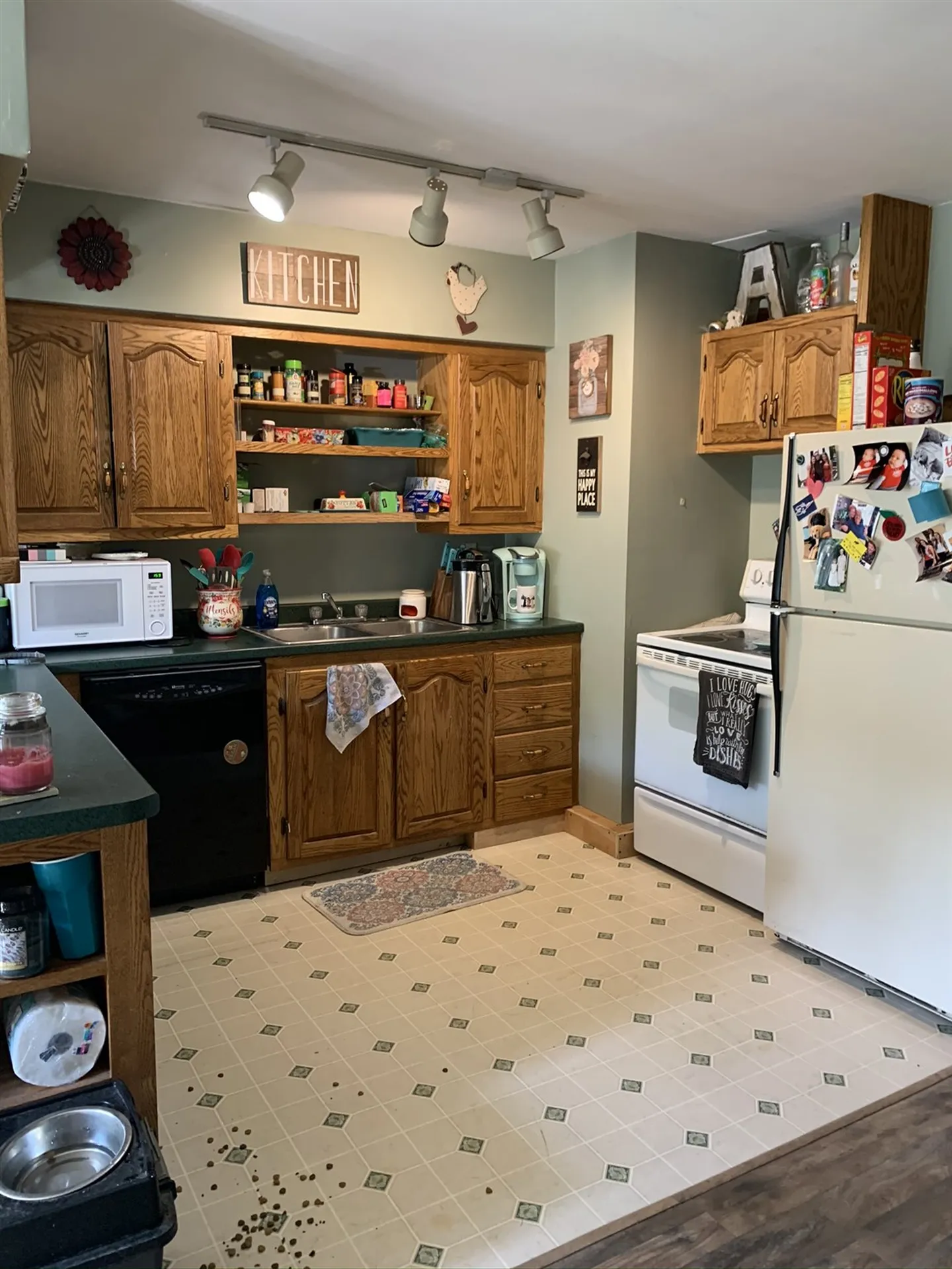 160 North Meadow Drive Bristol VT 05443