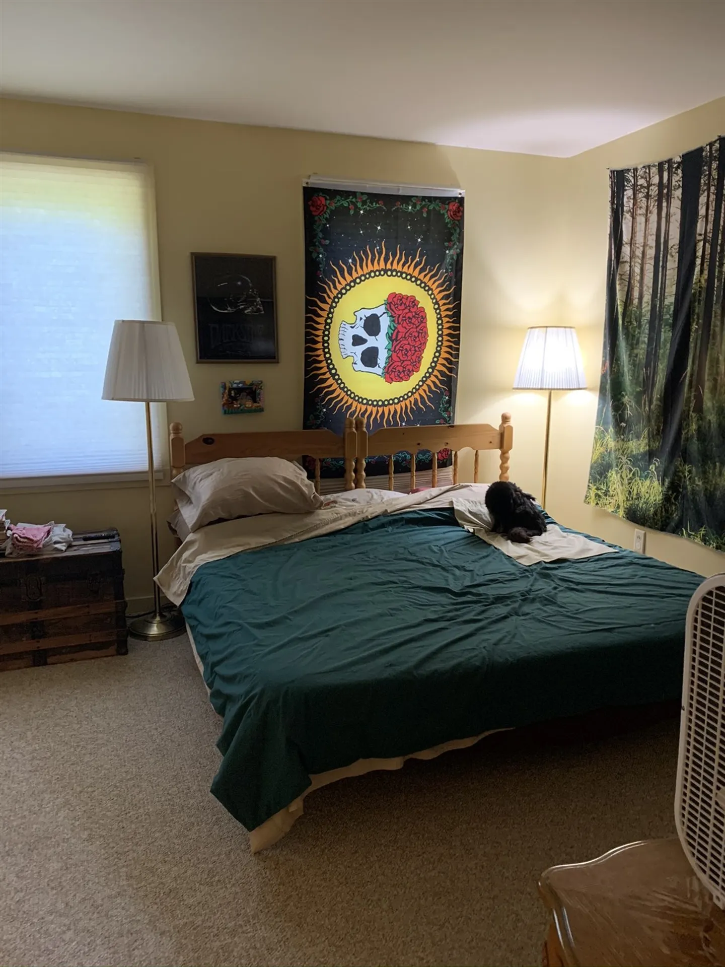 160 North Meadow Drive Bristol VT 05443