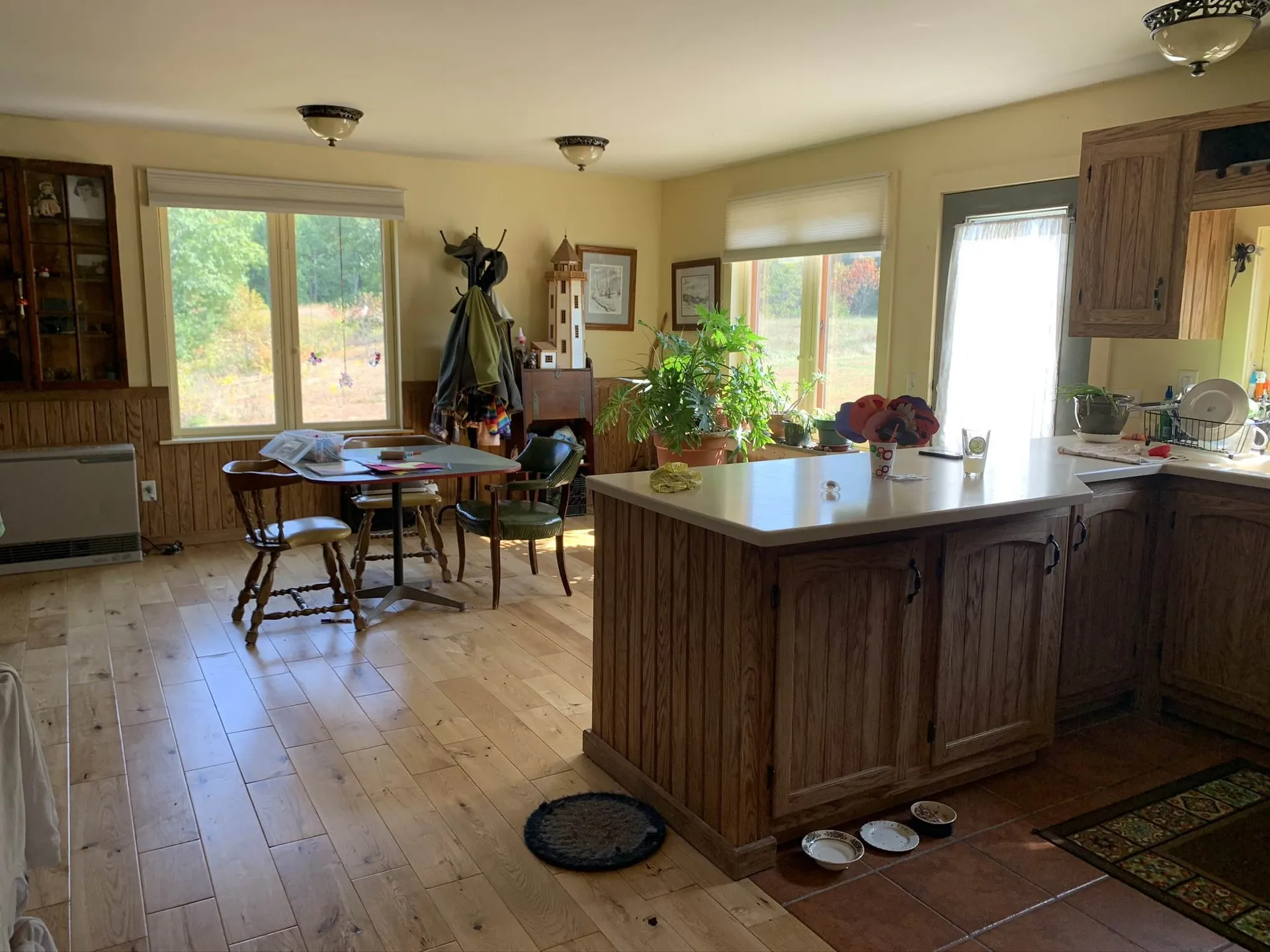 160 North Meadow Drive Bristol VT 05443