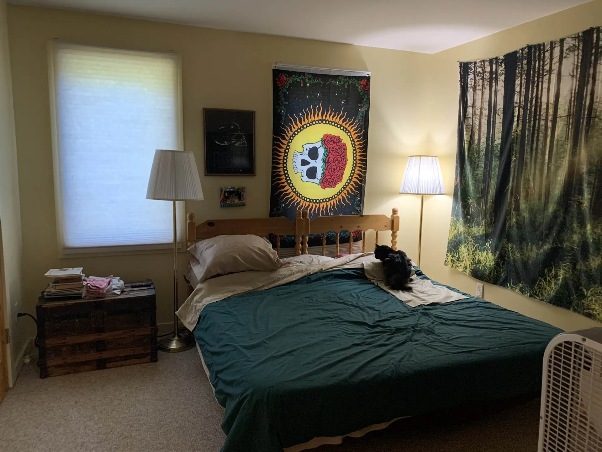 160 North Meadow Drive Bristol VT 05443