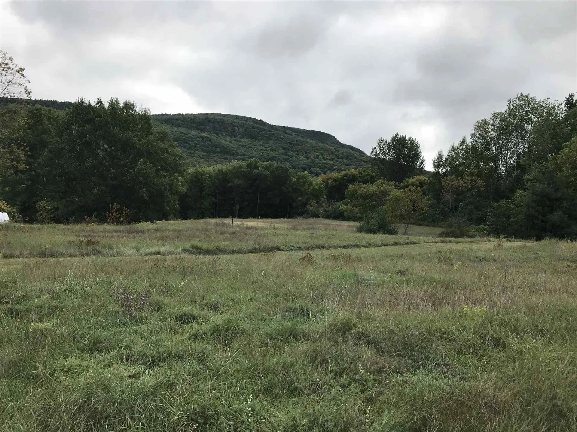 160 North Meadow Drive Bristol VT 05443
