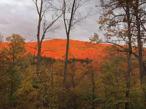 90 Beechwood Farm Road Mendon VT 05701
