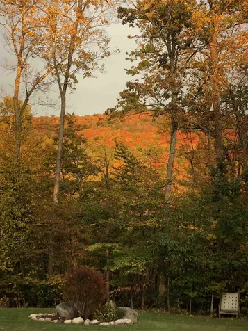 90 Beechwood Farm Road Mendon VT 05701
