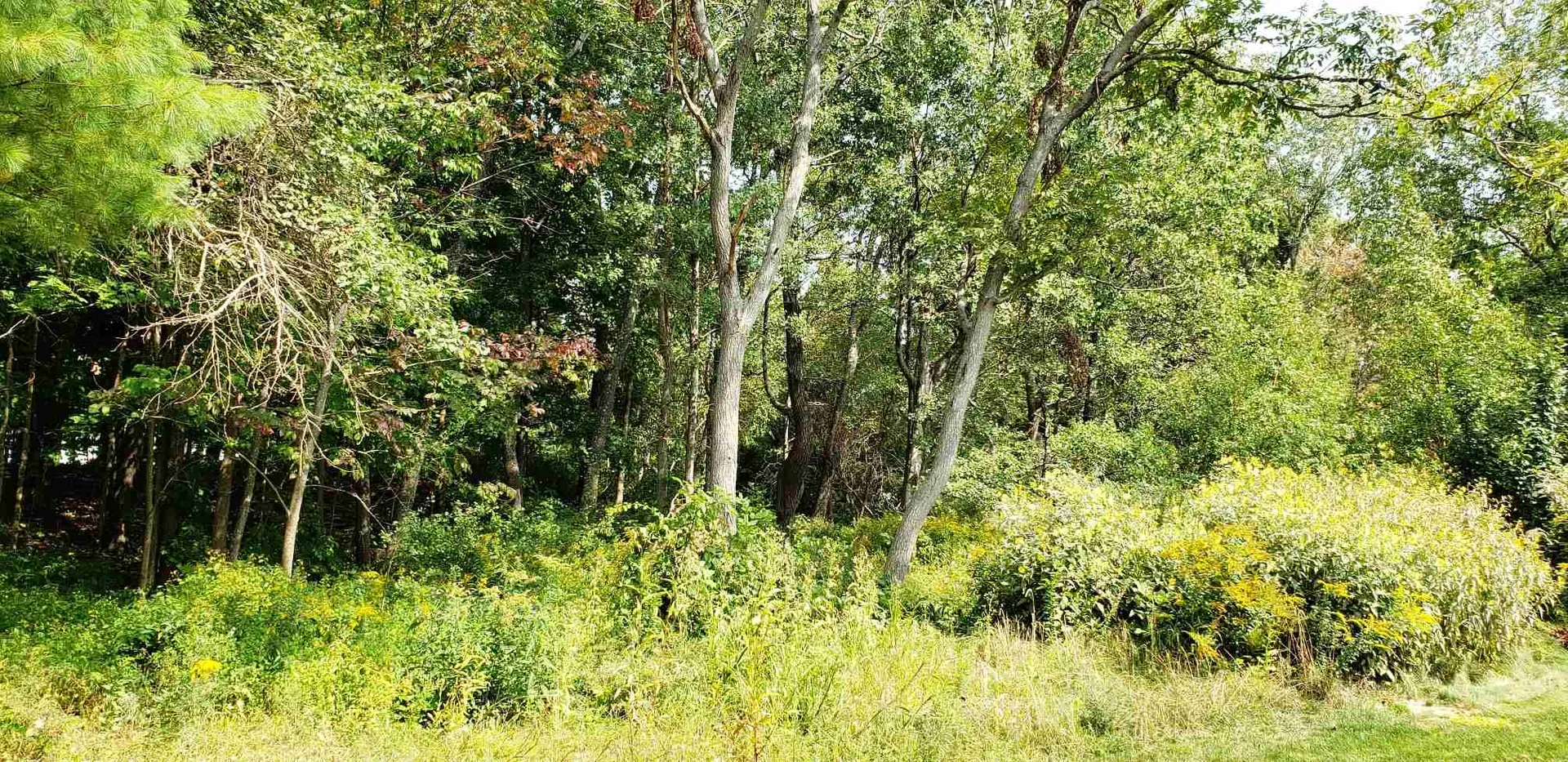 174 Belknap Mountain Road Gilford NH 03249