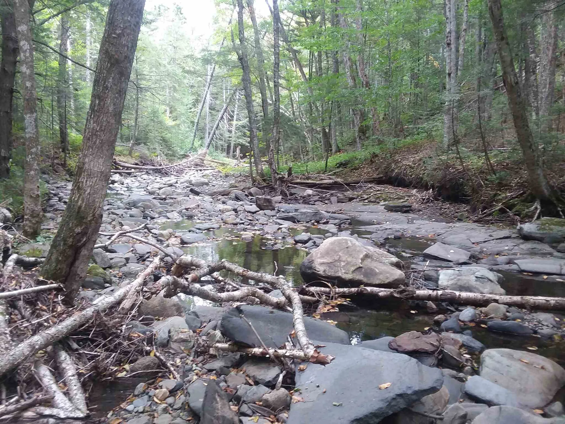 00 Sheffield Square Road Sheffield VT 05866-0165