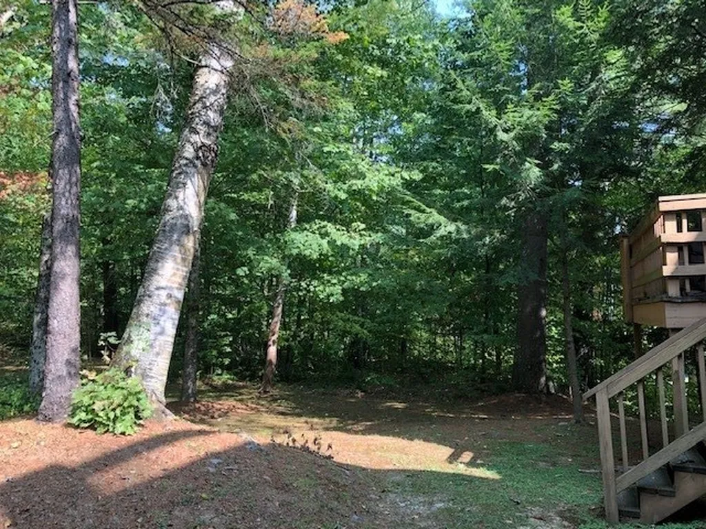 4 Timberline Drive Warren VT 05674