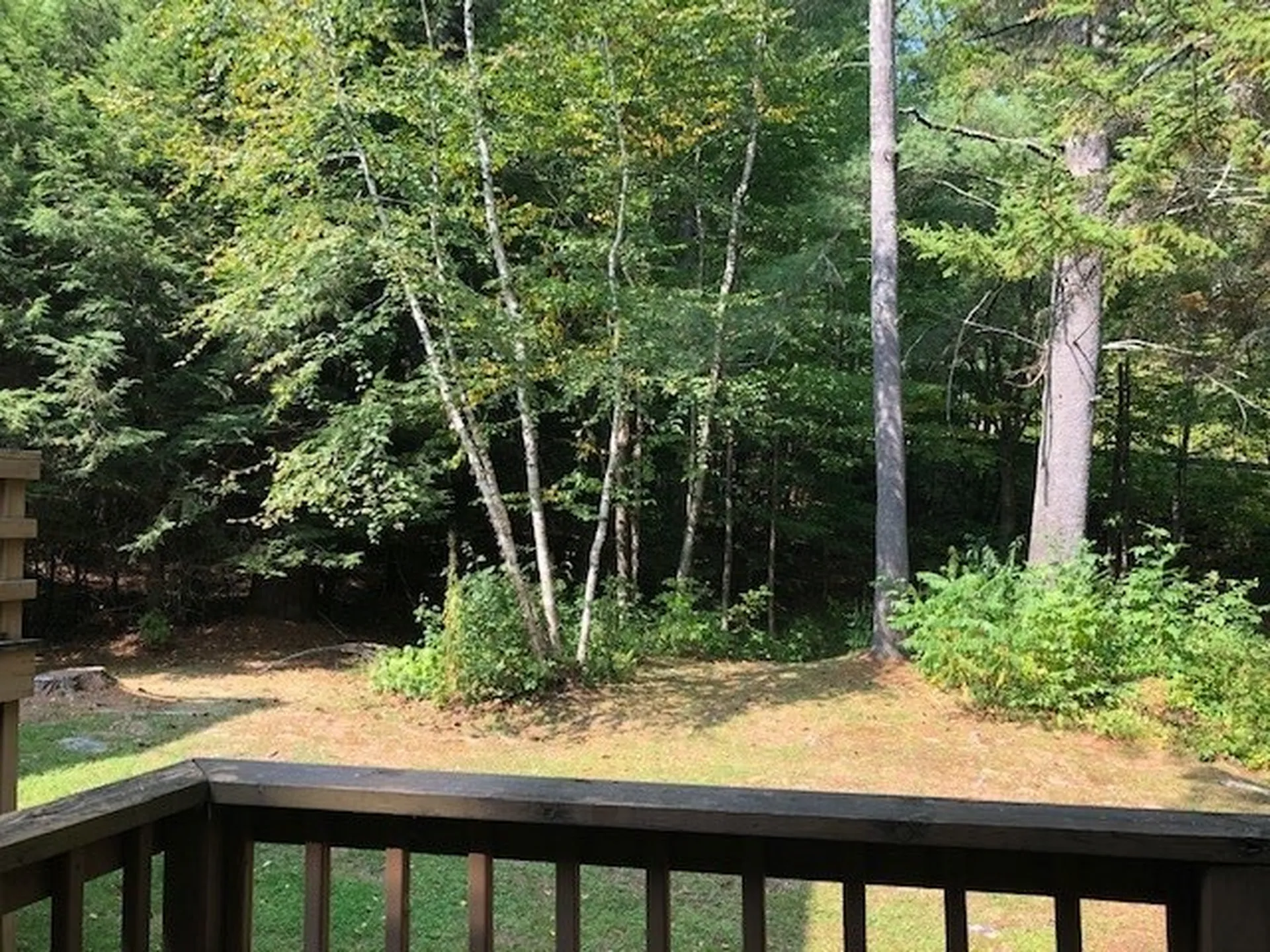 4 Timberline Drive Warren VT 05674