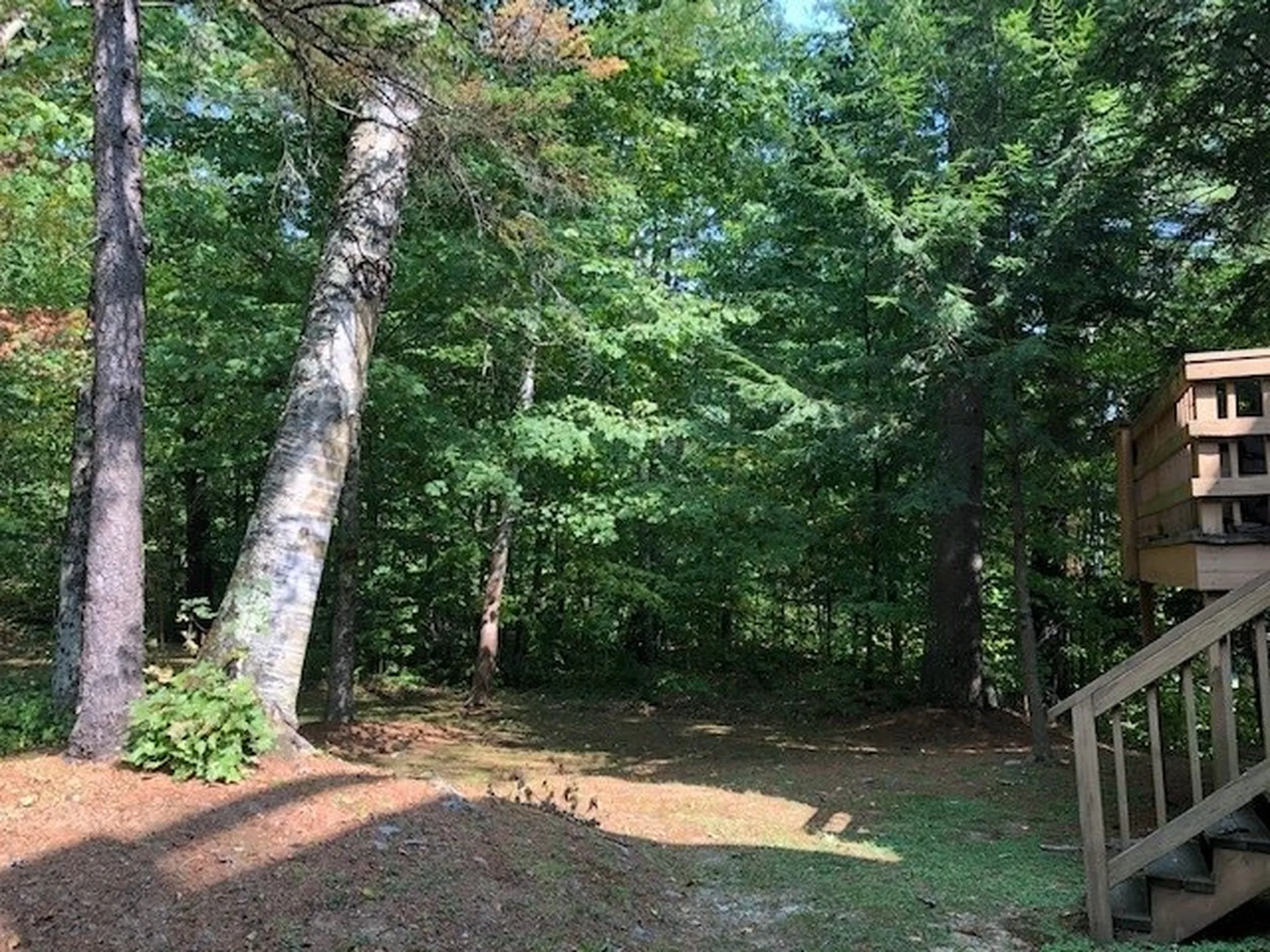 4 Timberline Drive Warren VT 05674