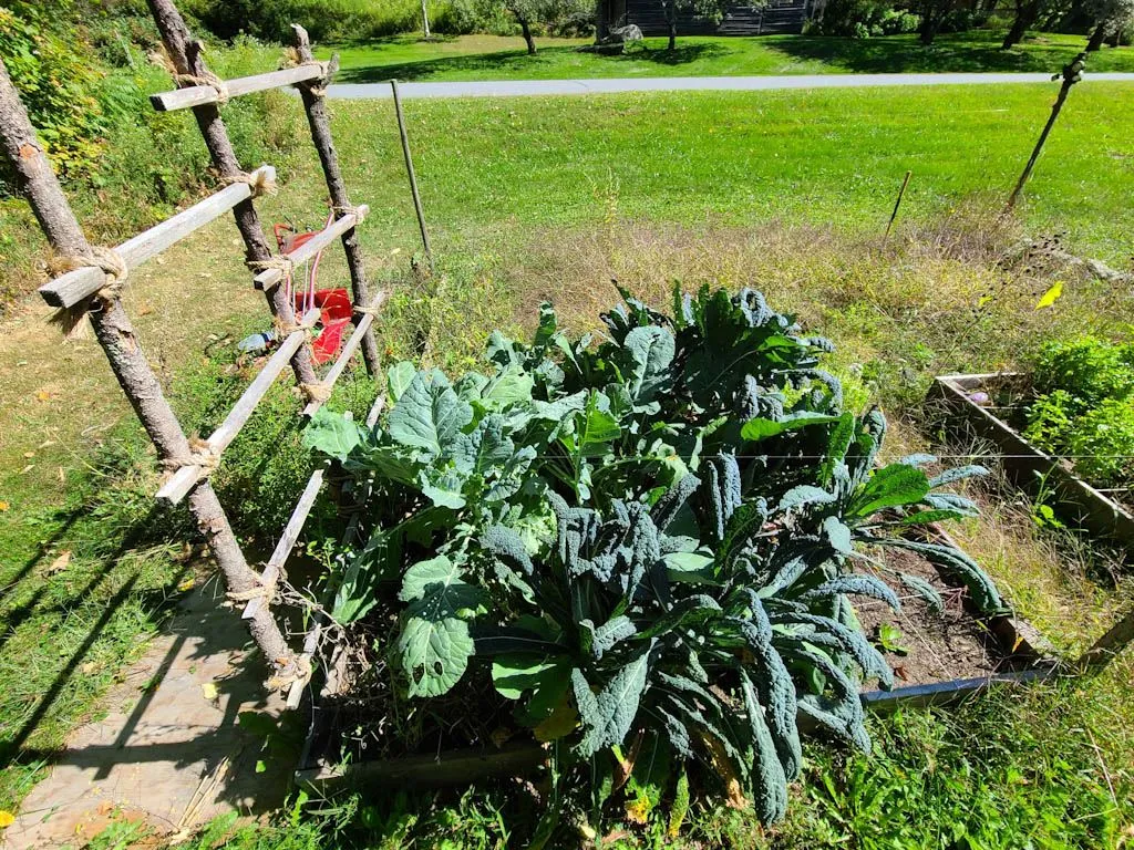 251 Brook Road Warren VT 05674