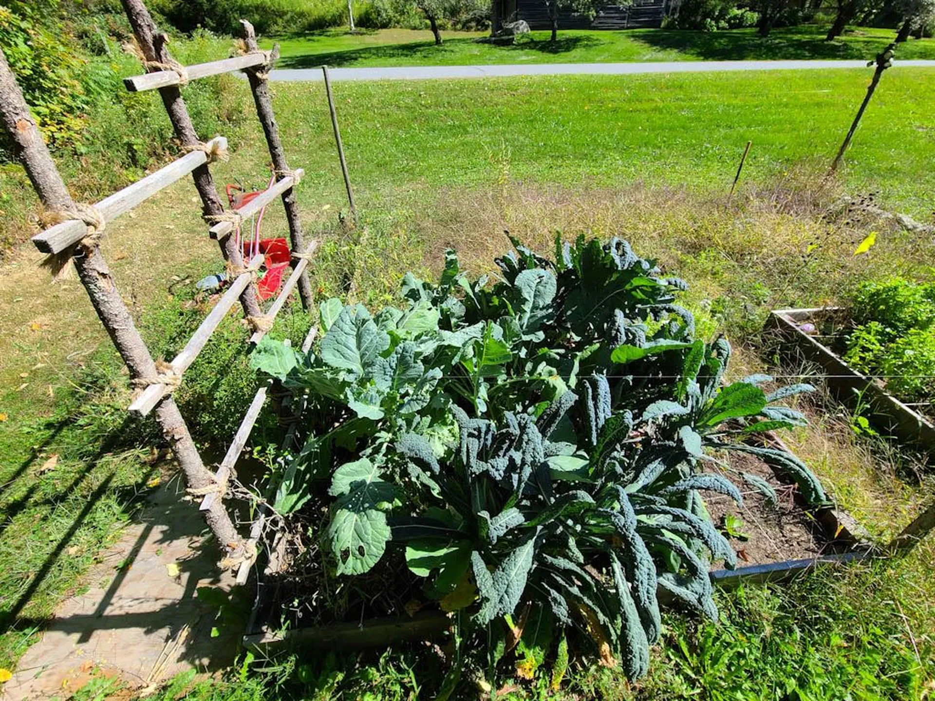 251 Brook Road Warren VT 05674