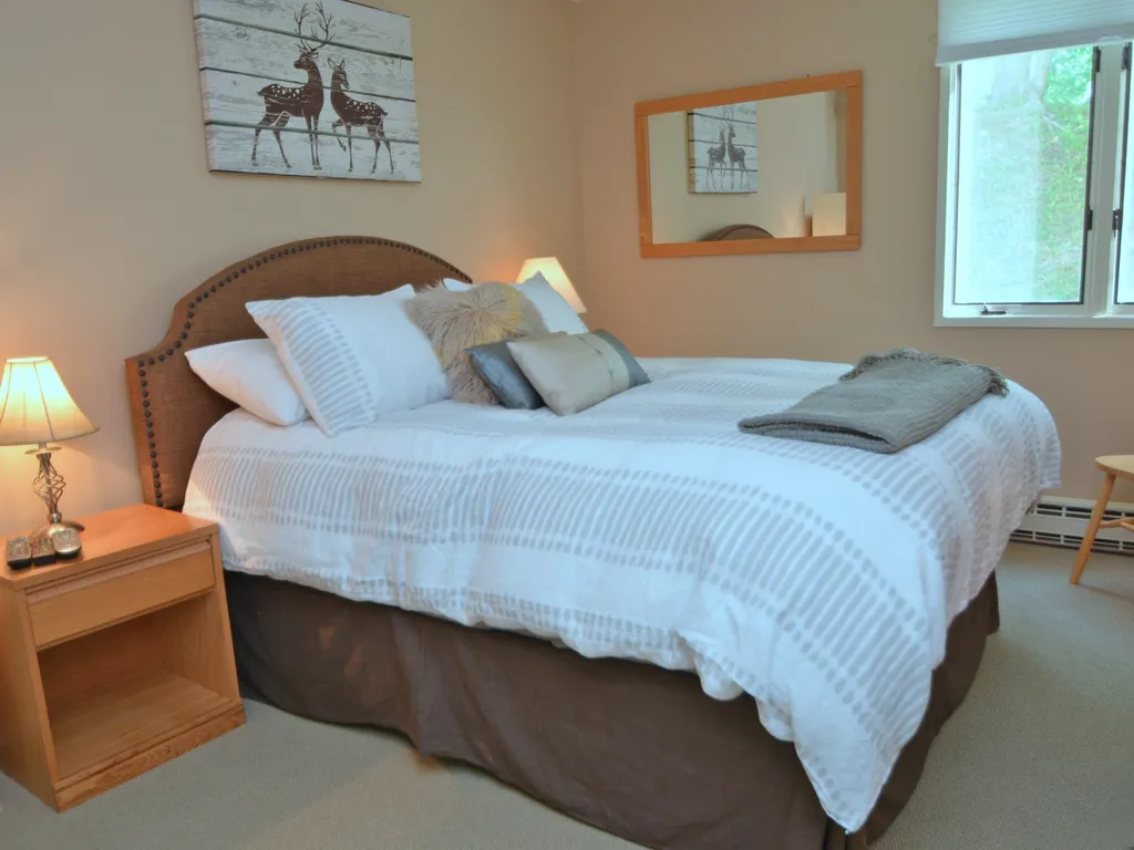87 Bridges Resort Road Warren VT 05674