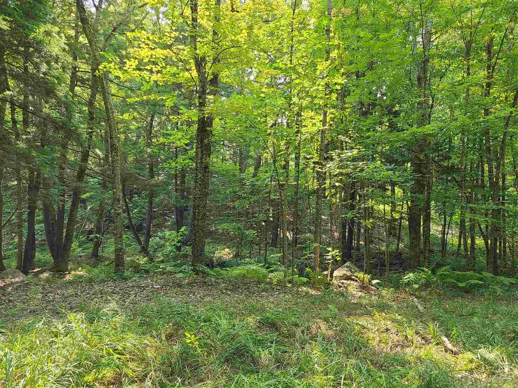0 Pond Road Moultonborough NH 03254