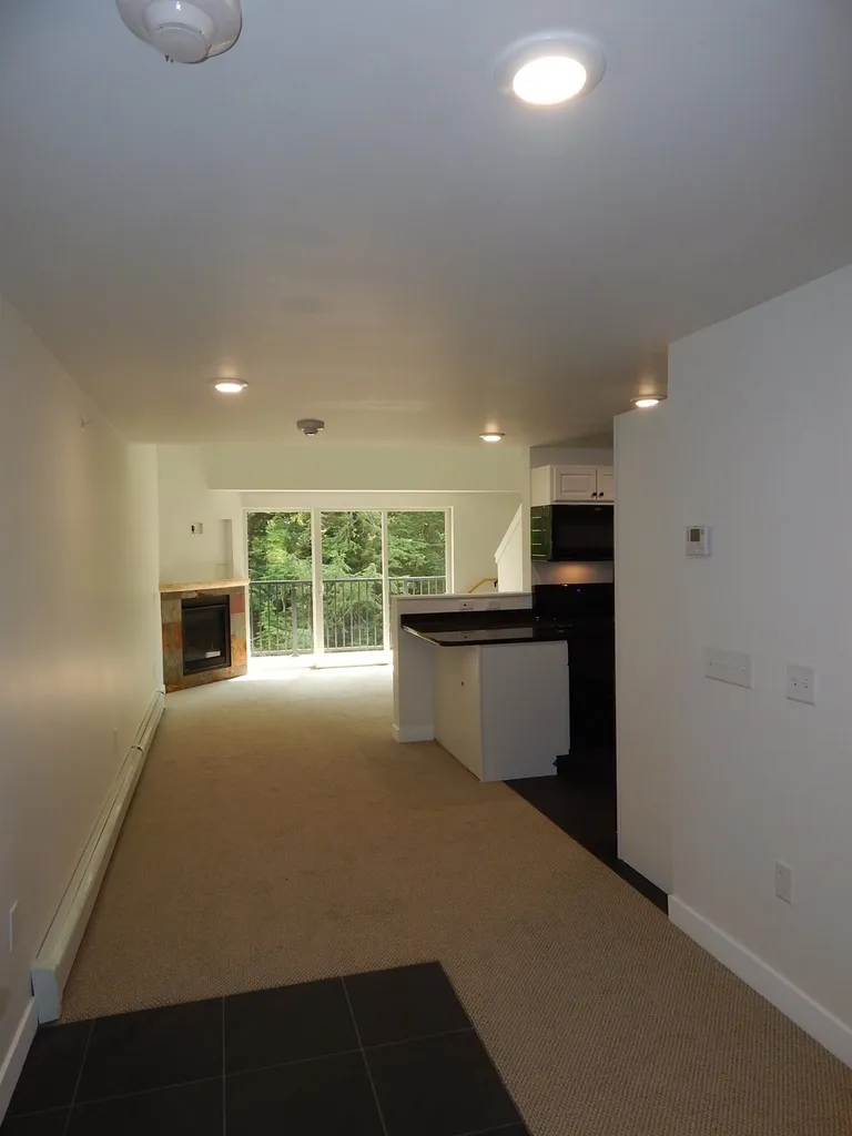 251 Mountainside Drive Warren VT 05674