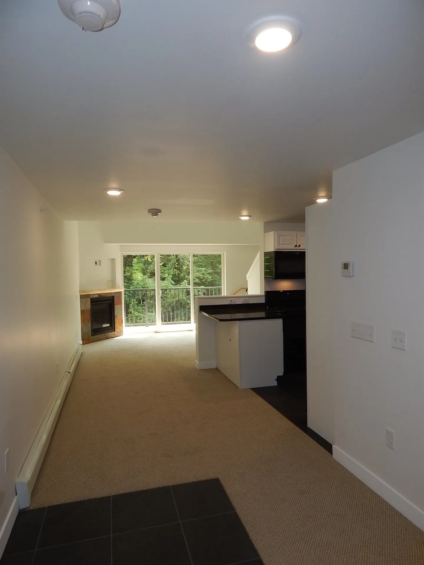 251 Mountainside Drive Warren VT 05674