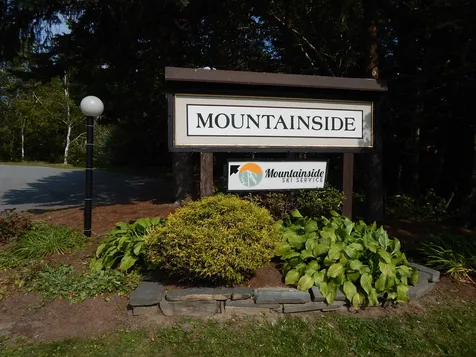 251 Mountainside Drive Warren VT 05674