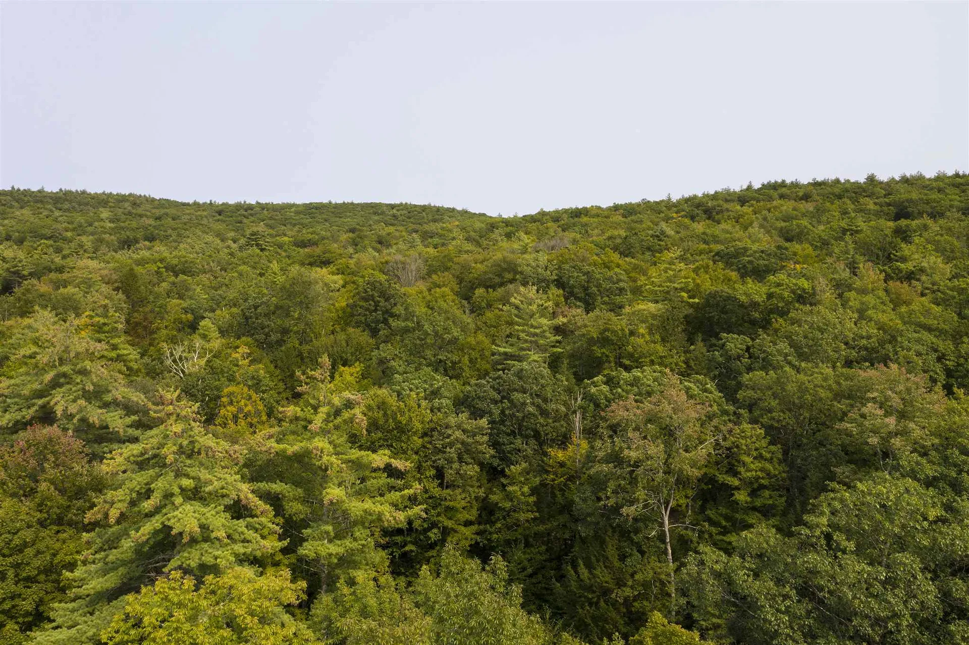 410 Burt Hill Road Winchester NH 03470