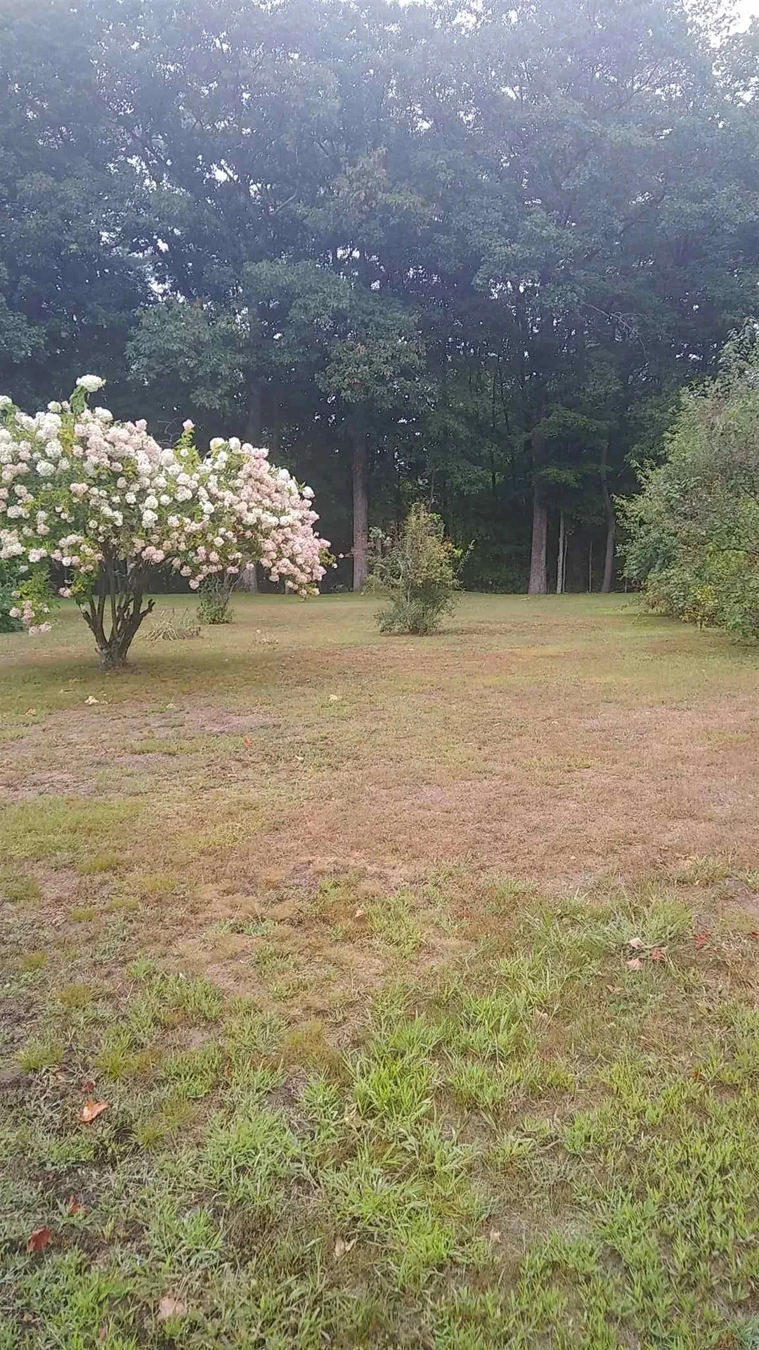 52 Mountain View Drive Hill NH 03243