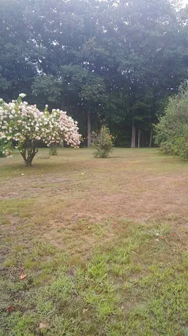 52 Mountain View Drive Hill NH 03243