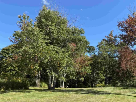 405 Whites Road Wilmington VT 05363