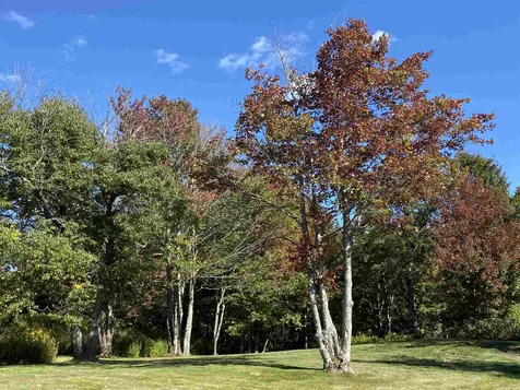 405 Whites Road Wilmington VT 05363