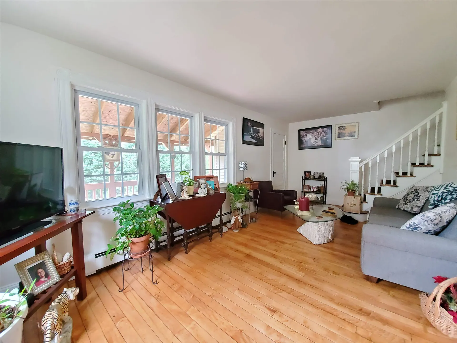 31 Mill Street Enfield NH 03748