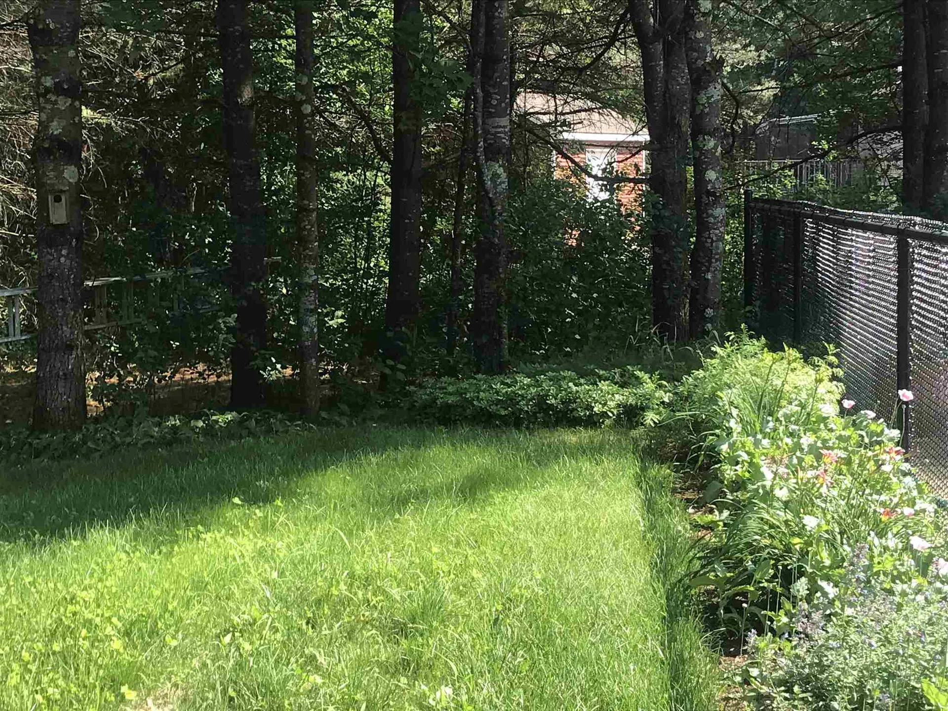11 Jennifer Lane Jaffrey NH 03452