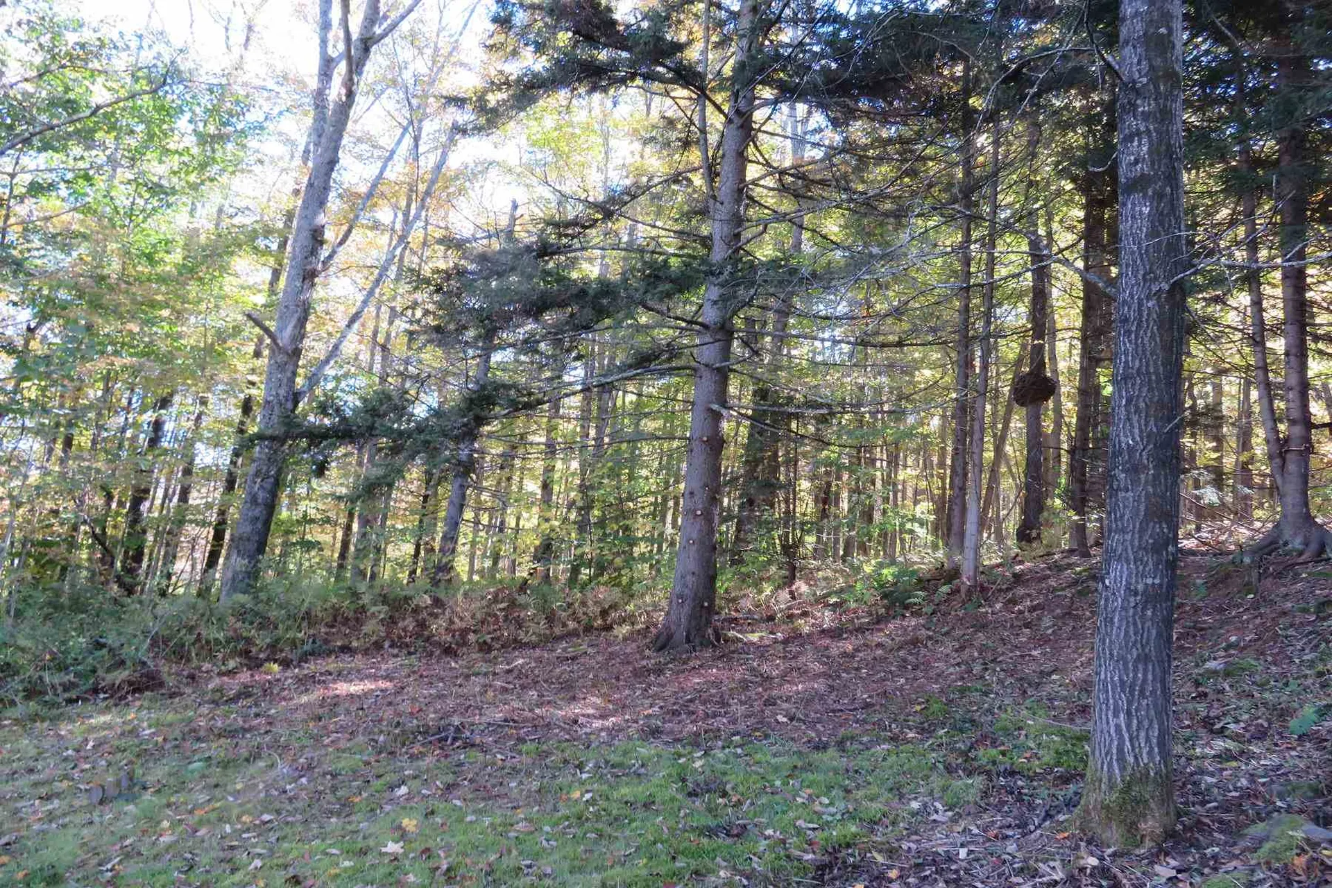 6331 Stage Road Barnard VT 05031